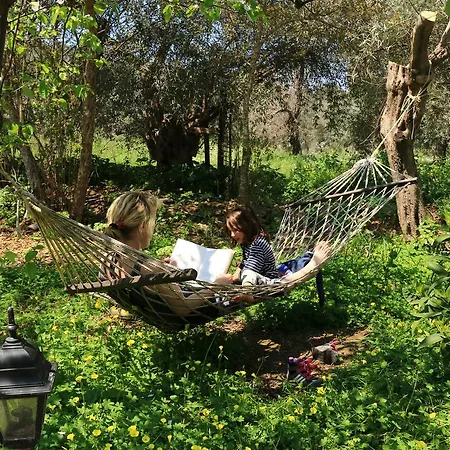Hotel Hotel Silva Oliva Lake Bafa