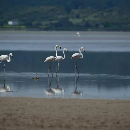 Hotel Silva Oliva Lake Bafa Hotel Kapikiri